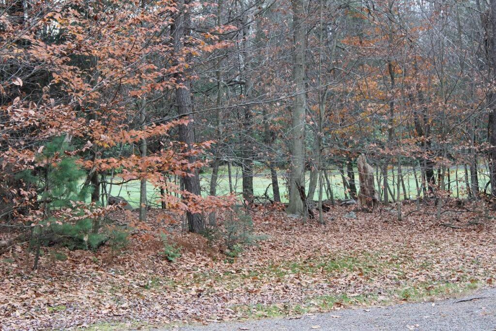 Luxury 4 Bedroom House In Pocono Mountains In Golf Course Near Lake Tobyhanna Kültér fotó